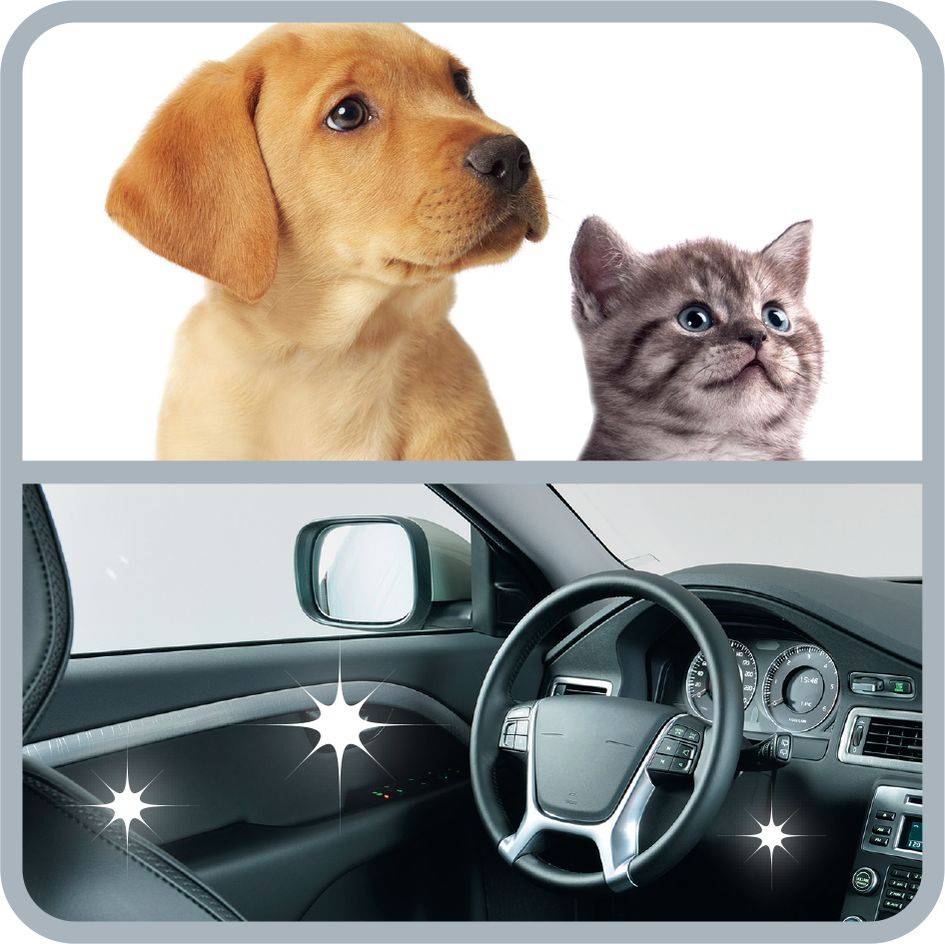 COMPACT POWER NEGRO + 5 ACCESORIOS