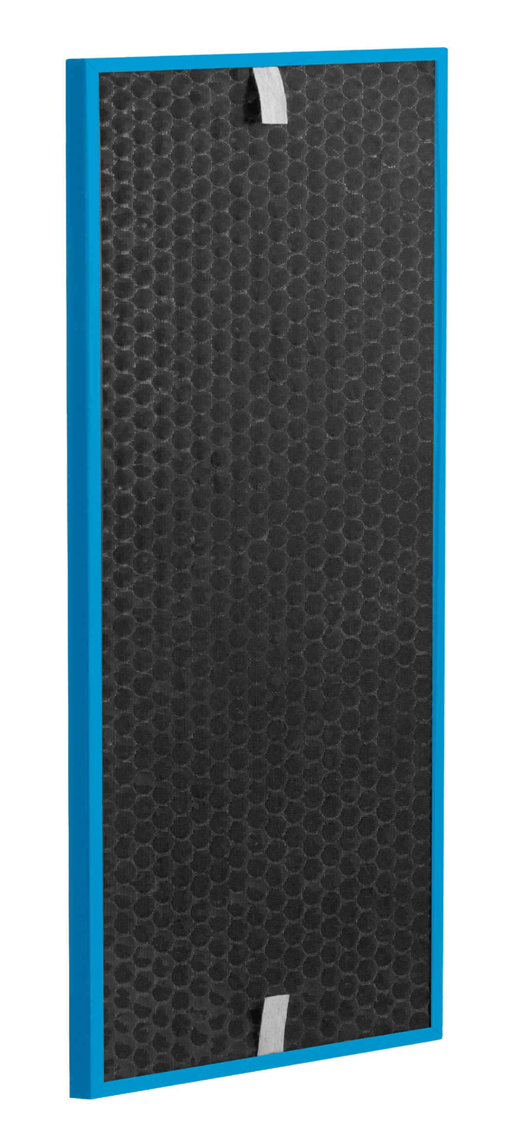 FILTRO DE REFUERZO XL CARBON CAPTUR XD7161E0 para Intense Pure Air XL