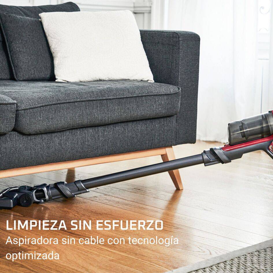 X-Pert 6.60, Aspiradora sin cable, 100 W, 1,4 kg en mano, Animal Care