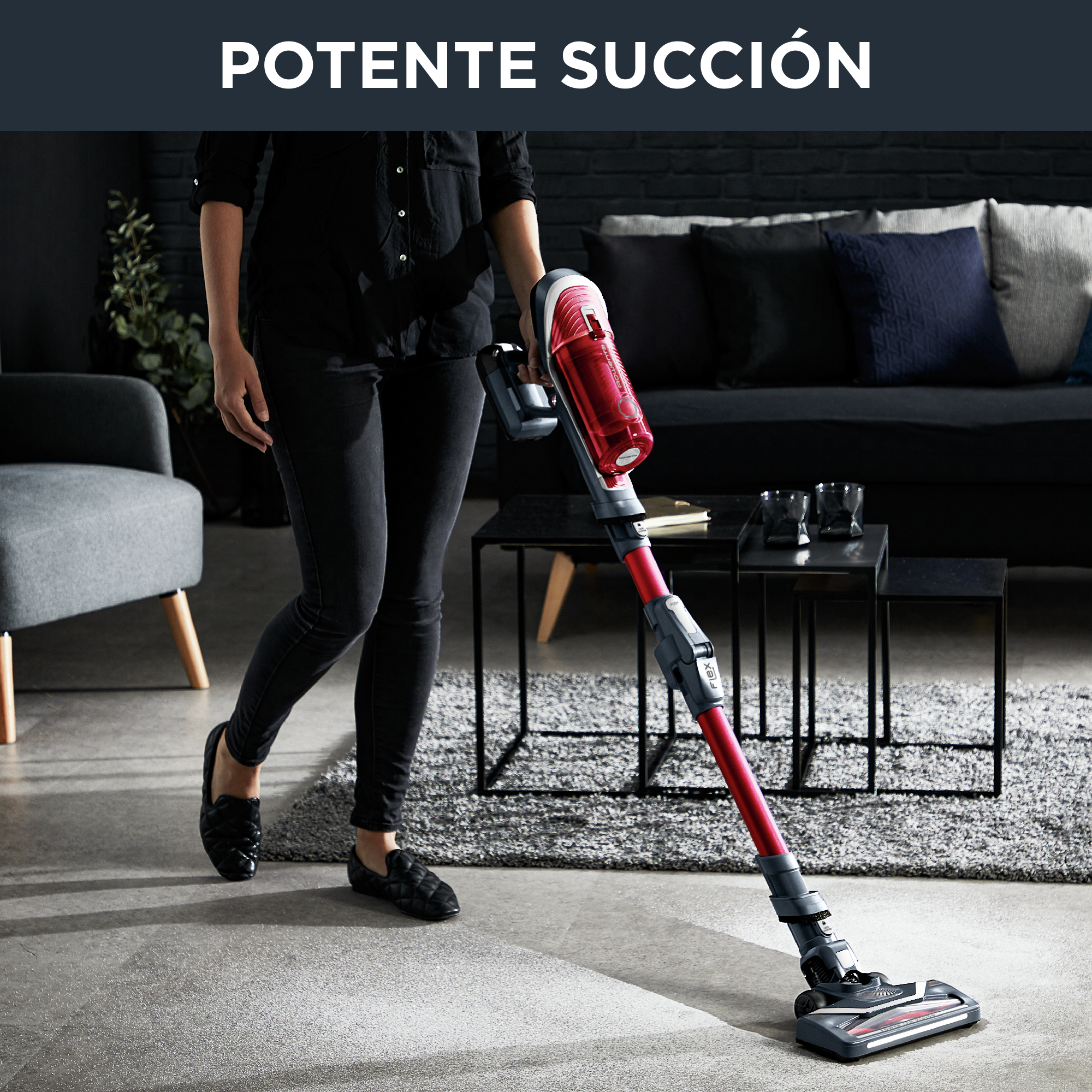 X-Force Flex 8.60, Aspiradora sin cable, 185 W, Batería 22V, Animal Care