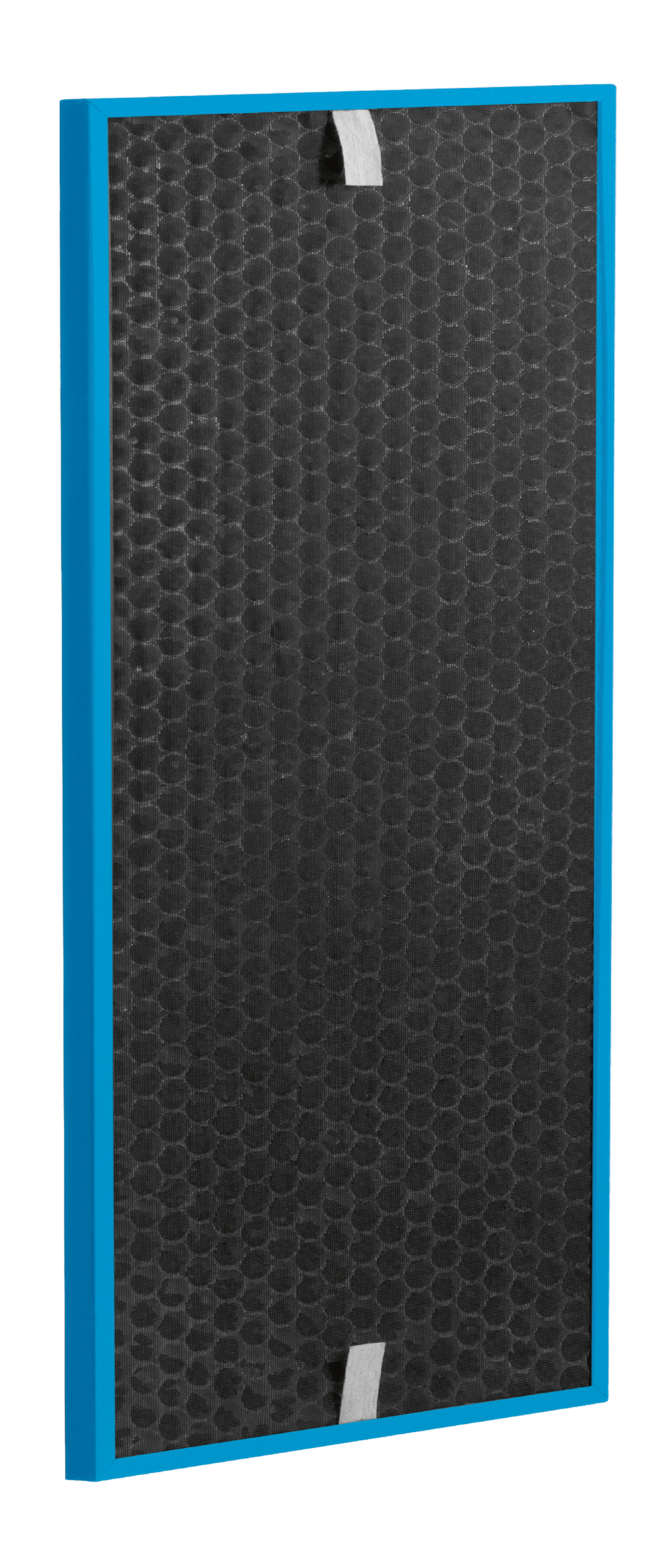 FILTRO DE CARBON CAPTUR BOOST XD7160E0 para Intense Pure Air