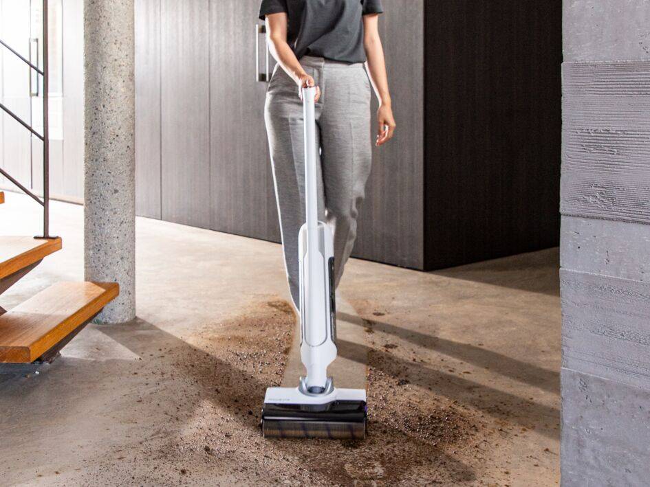 Kit de accesorios para X-Clean 10 de Rowenta, Rodillo y filtro, 10 ZR336A01