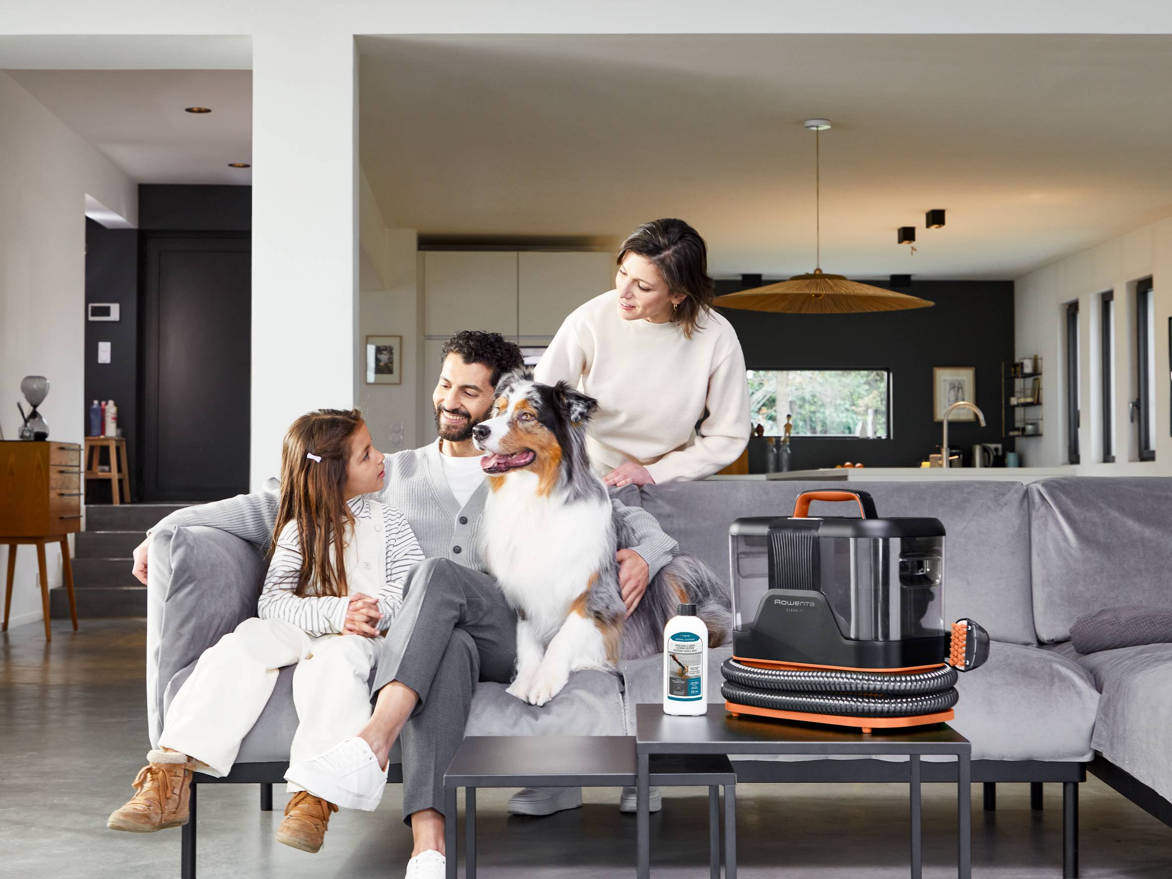 Solución para limpieza de tapicerías y moquetas - Manchas de mascotas XD5320F0 - 1L