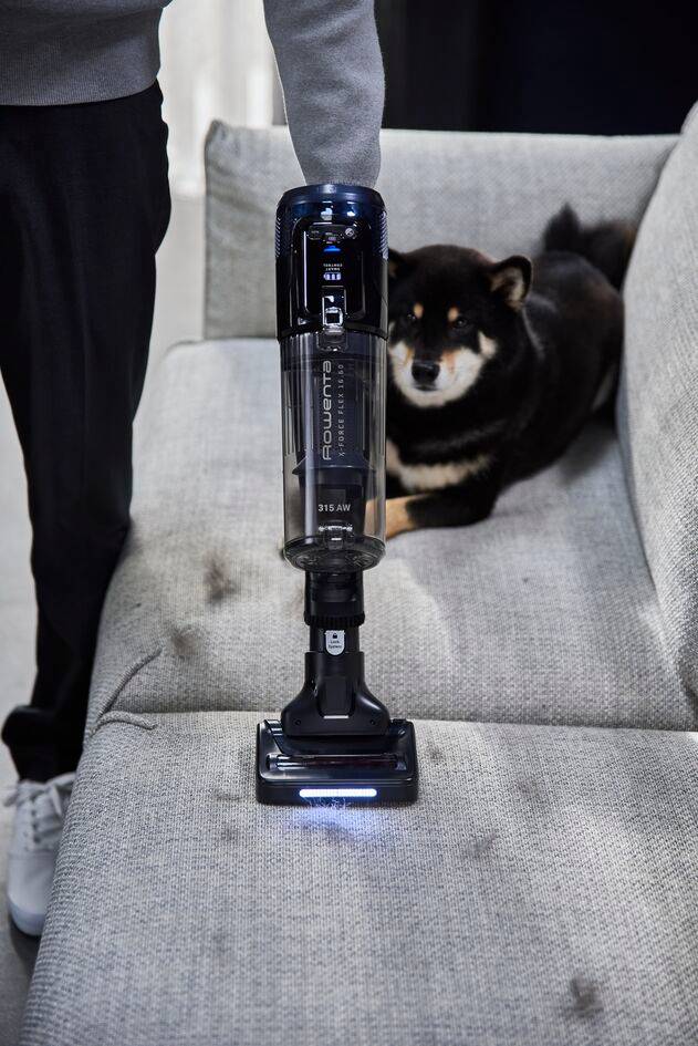 Aspirador sin cable para mascotas Rowenta