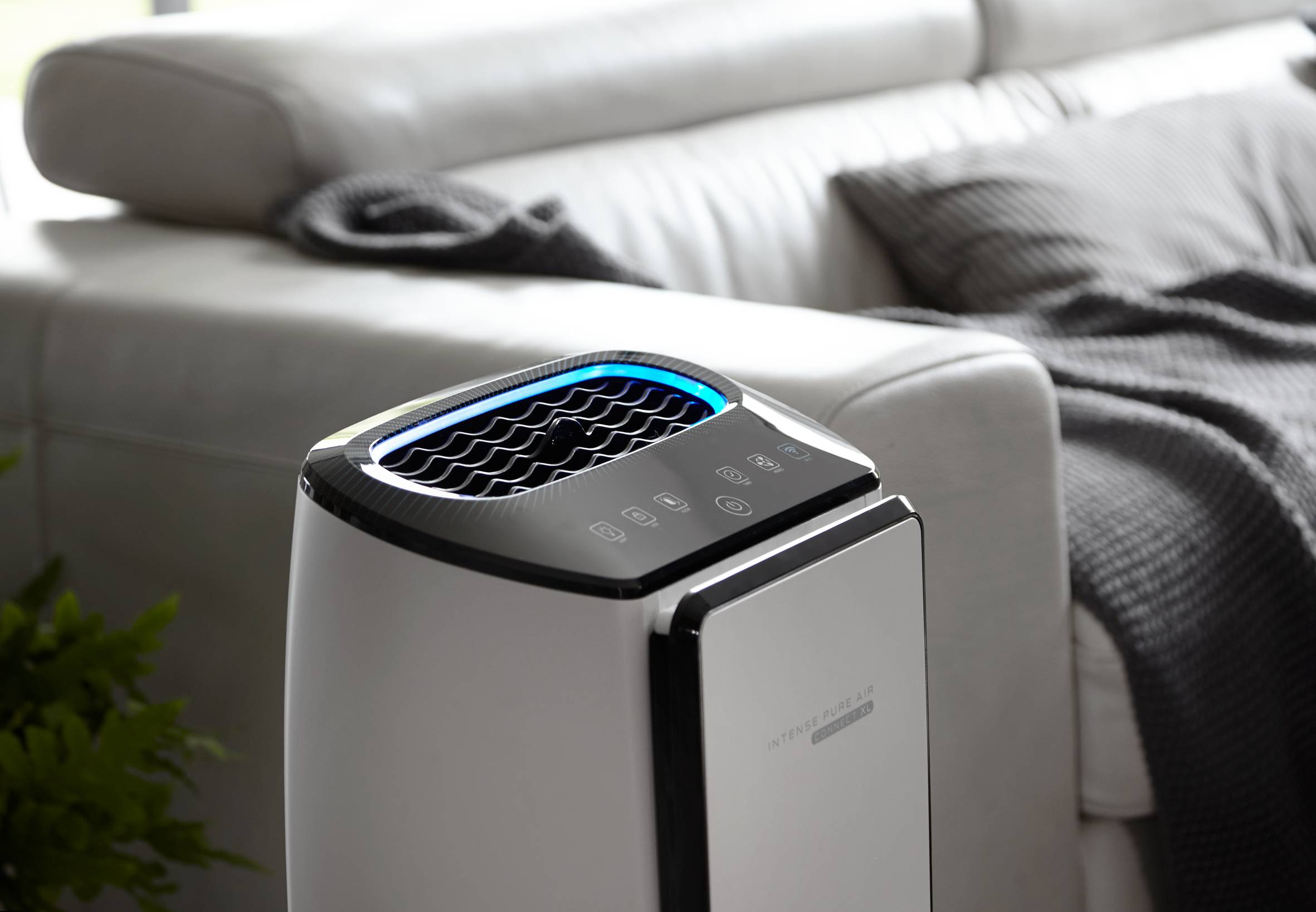 INTENSE PURE AIR CONNECT 