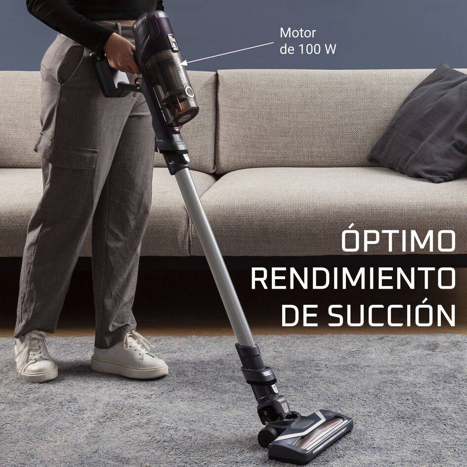 X-Pert 6.60 Essential, Aspiradora versátil, gris y lila